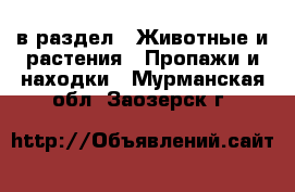  в раздел : Животные и растения » Пропажи и находки . Мурманская обл.,Заозерск г.